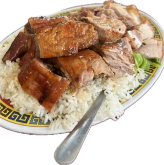 Pork and duck combo